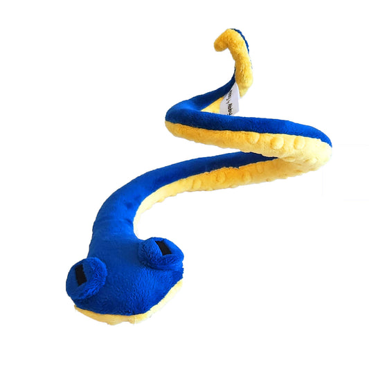 Carmelo Sea Snake