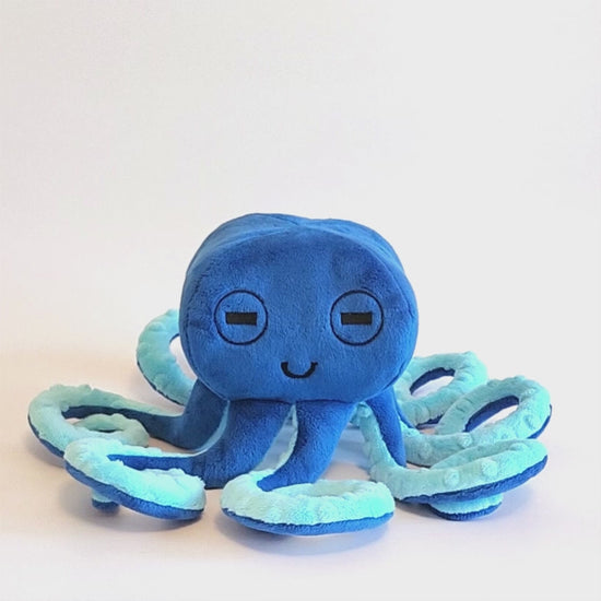 video of blue octopus on a white background