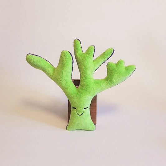 Coral or Seaweed plush with a smiley face. The front is green and the back is purple.