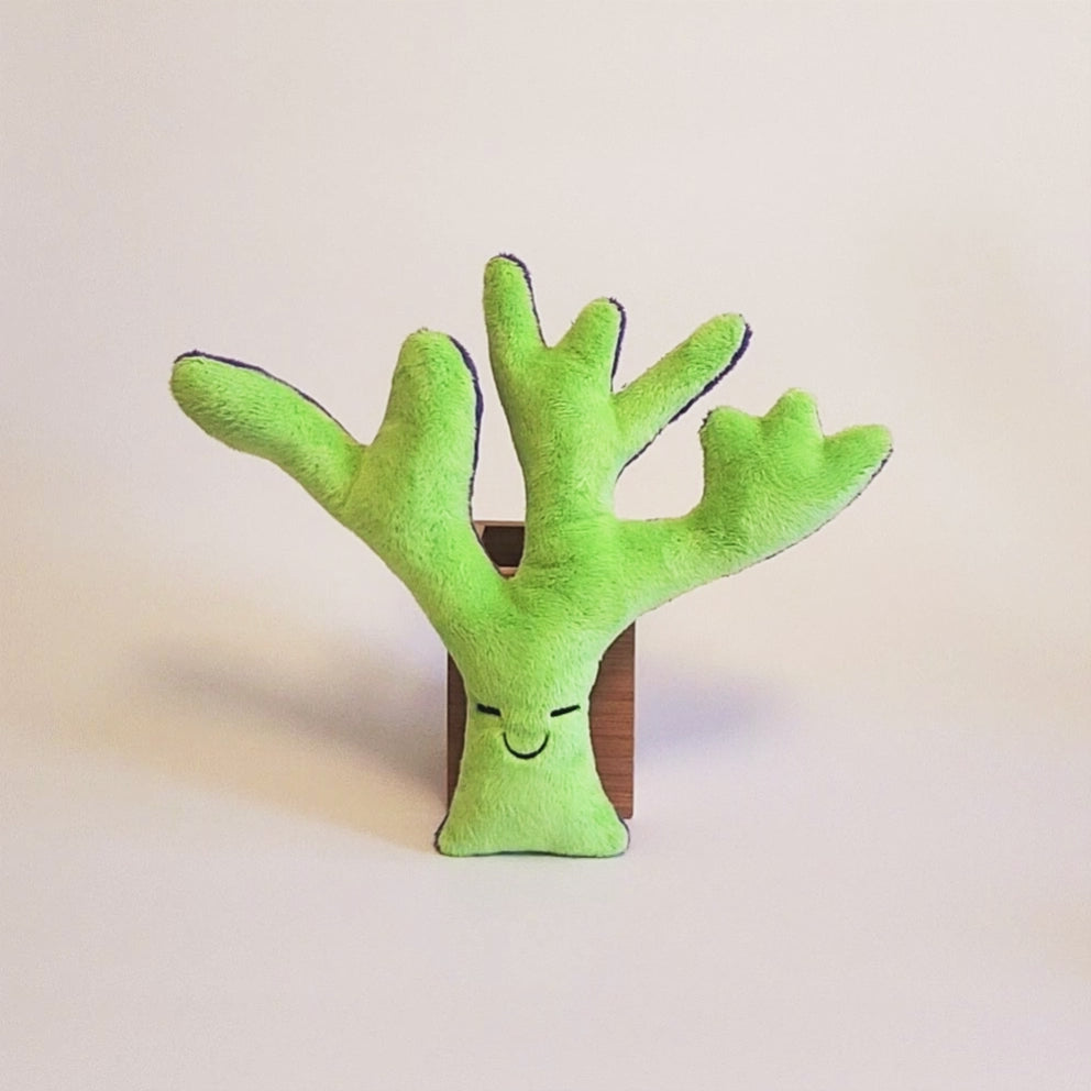 Coral or Seaweed plush with a smiley face. The front is green and the back is purple.