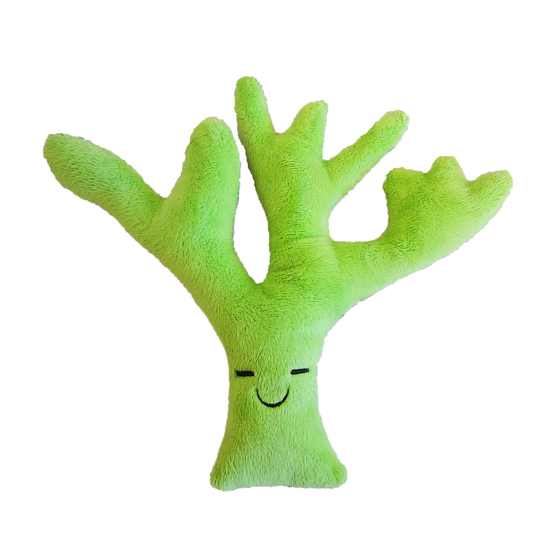 Green coral with a smiling face